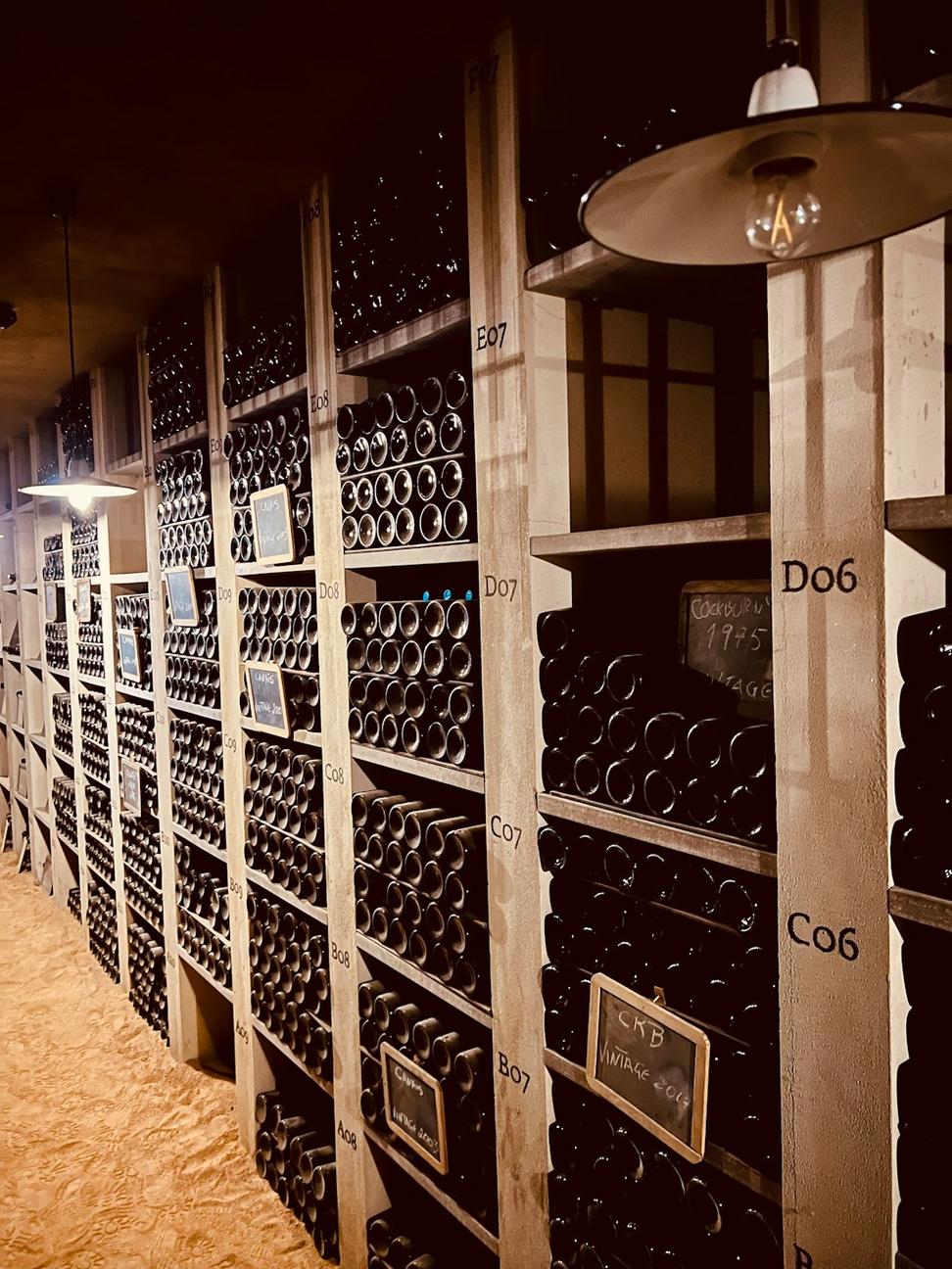 Wine Collection